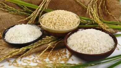 قیمت انواع برنج ایرانی و خارجی اعلام شد