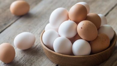 امسال 135 هزار تن تخم مرغ صادر شد