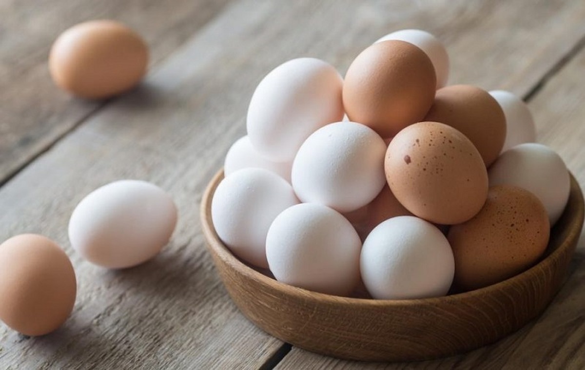 امسال 135 هزار تن تخم مرغ صادر شد