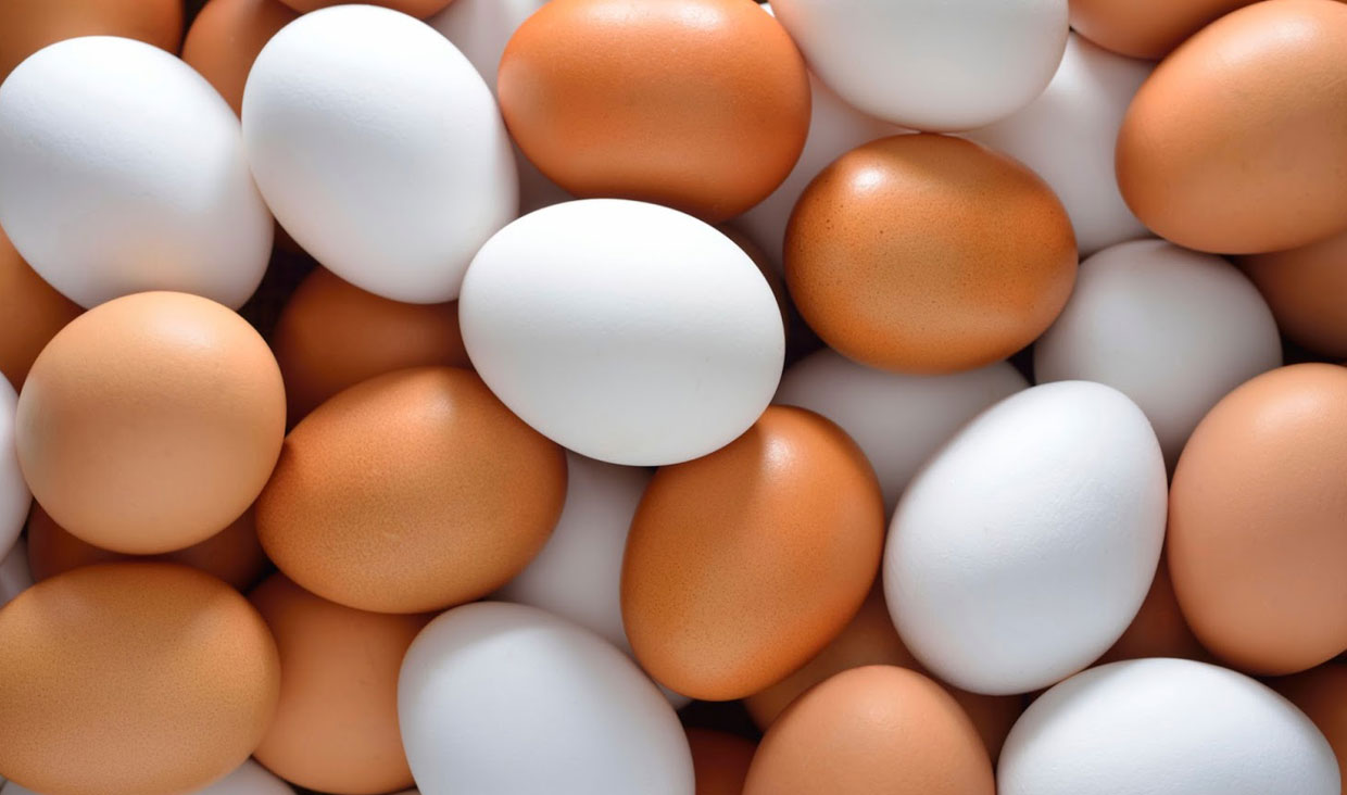 از ابتدای سال چقدر تخم مرغ صادر شده است؟