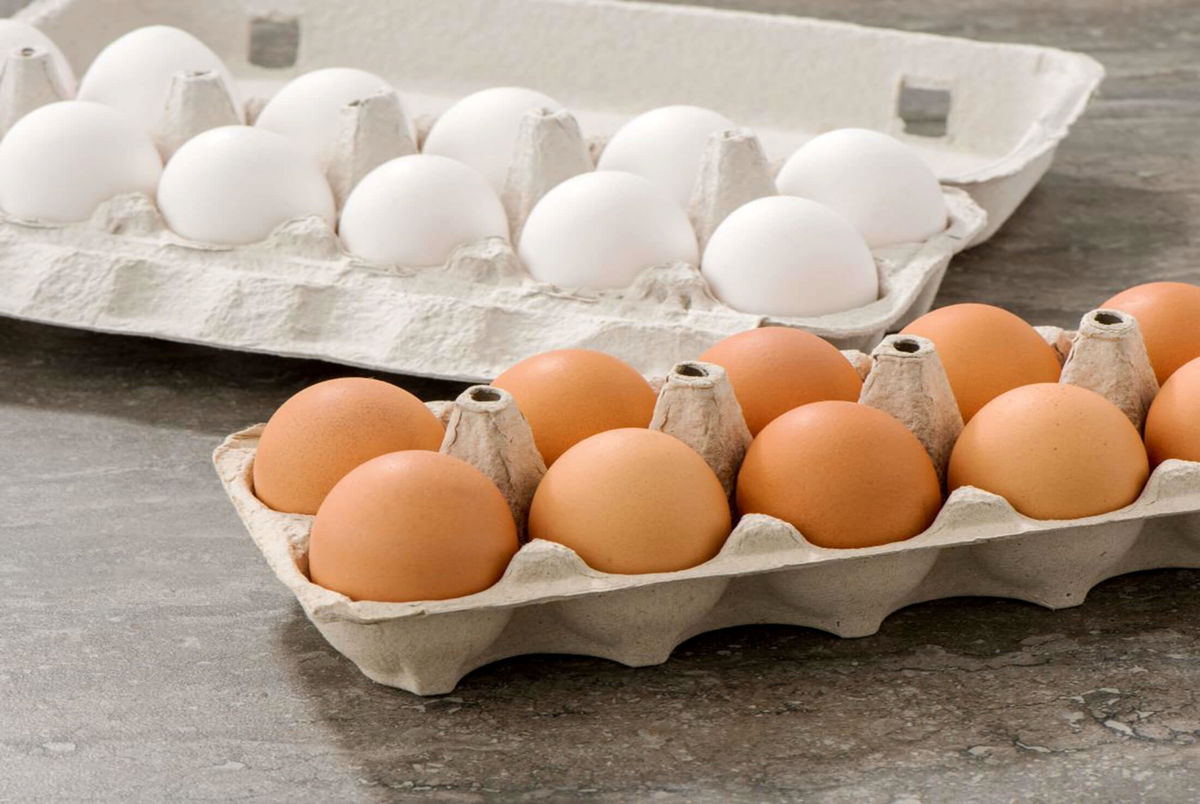 جدیدترین قیمت تخم مرغ در بازار چند؟