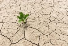 پیش بینی رییس سازمان حفاظت محیط زیست از پایان خشکسالی در کشور