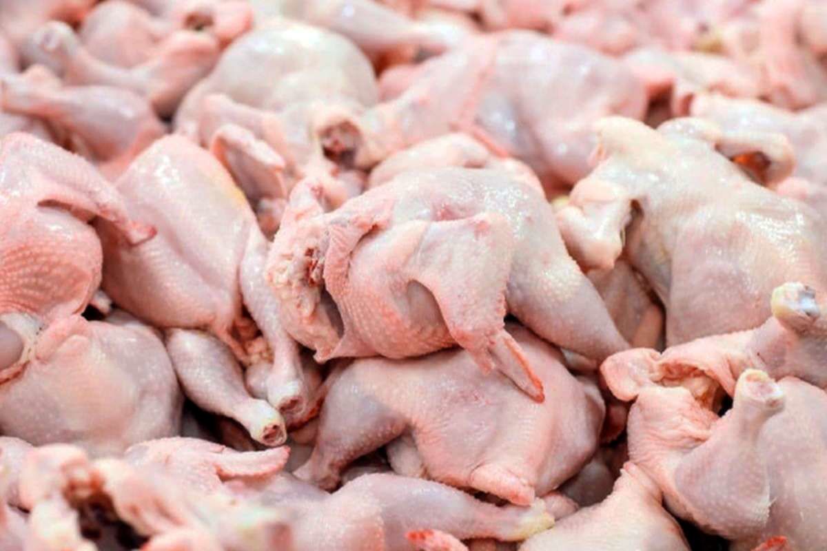 قیمت گوشت مرغ در بازار چند؟