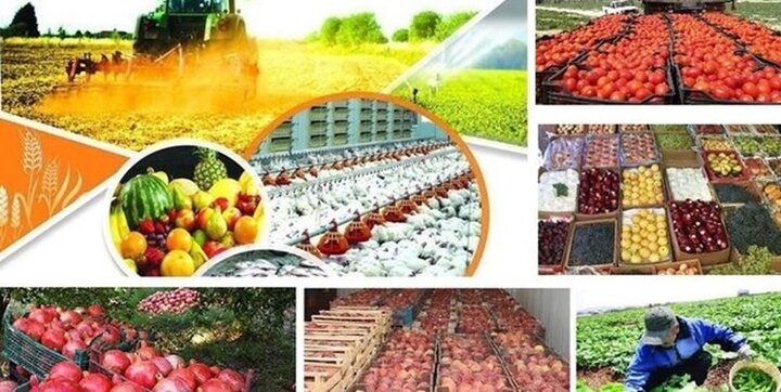 متوسط قیمت خرید مستقیم محصولات از کشاورزان اعلام شد