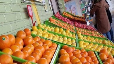 توزیع میوه های تنظیم بازار تا چه روزی ادامه دارد؟