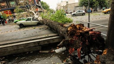 صدور هشدار وزش باد شدید در تهران