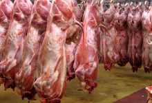 امسال از واردات گوشت قرمز بی نیاز هستیم