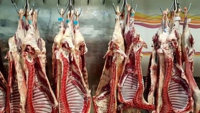 واردات گوشت گرم از آفریقای جنوبی آغاز شد
