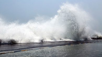 وزش باد شدید و افزایش ارتفاع موج در خلیج‌فارس