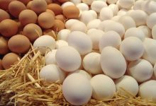 تخم مرغ همچنان کمتر از قیمت مصوب به فروش می‌رسد