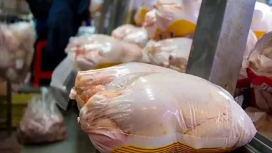 کاهش قیمت گوشت مرغ در بازار تهران
