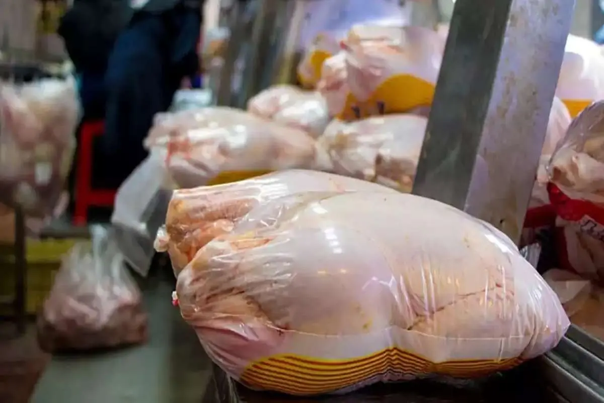 کاهش قیمت گوشت مرغ در بازار تهران