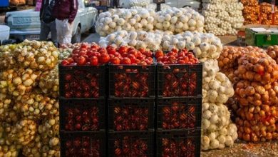 قیمت گوجه فرنگی و پیاز از این تاریخ ارزان می‌شود