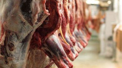 قیمت گوشت قرمز و گوشت مرغ در بازار تهران اعلام شد