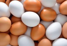 قیمت تخم مرغ در بازار روز اعلام شد