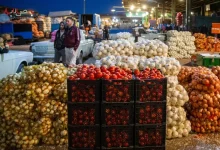 قیمت هر کیلو گوجه فرنگی و انواع پیاز چند است؟