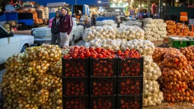 قیمت هر کیلو گوجه فرنگی و انواع پیاز چند است؟