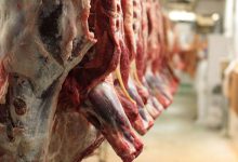 واردات گوشت قرمز به ۱۲۹ هزار تن رسید
