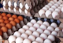 قیمت انواع تخم مرغ امروز (۲۶ خرداد) در بازار + جدول