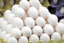 قیمت تخم مرغ در بازار تهران مشخص شد