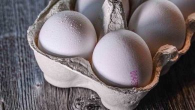 قیمت انواع تخم‌مرغ در بازار امروز (۲ تیر) چند شد؟