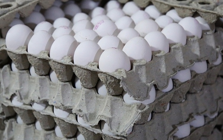 قیمت تخم‌مرغ در میادین تره‌بار تهران ارزان شد