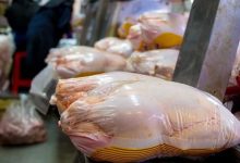 قیمت گوشت مرغ امروز (۶ تیر) کیلویی چند شد؟+جدول