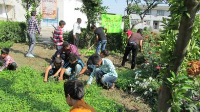 اجرای طرح «مزرعه تابستانی من» در راستای مهارت آموزی دانش آموزان