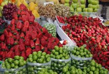 عرضه بالا قیمت میوه های نوبرانه را کاهش داد
