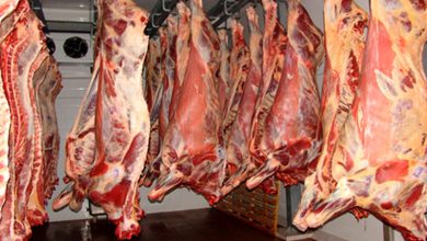 جزئیات واردات 70 تن گوشت فاسد از مغولستان