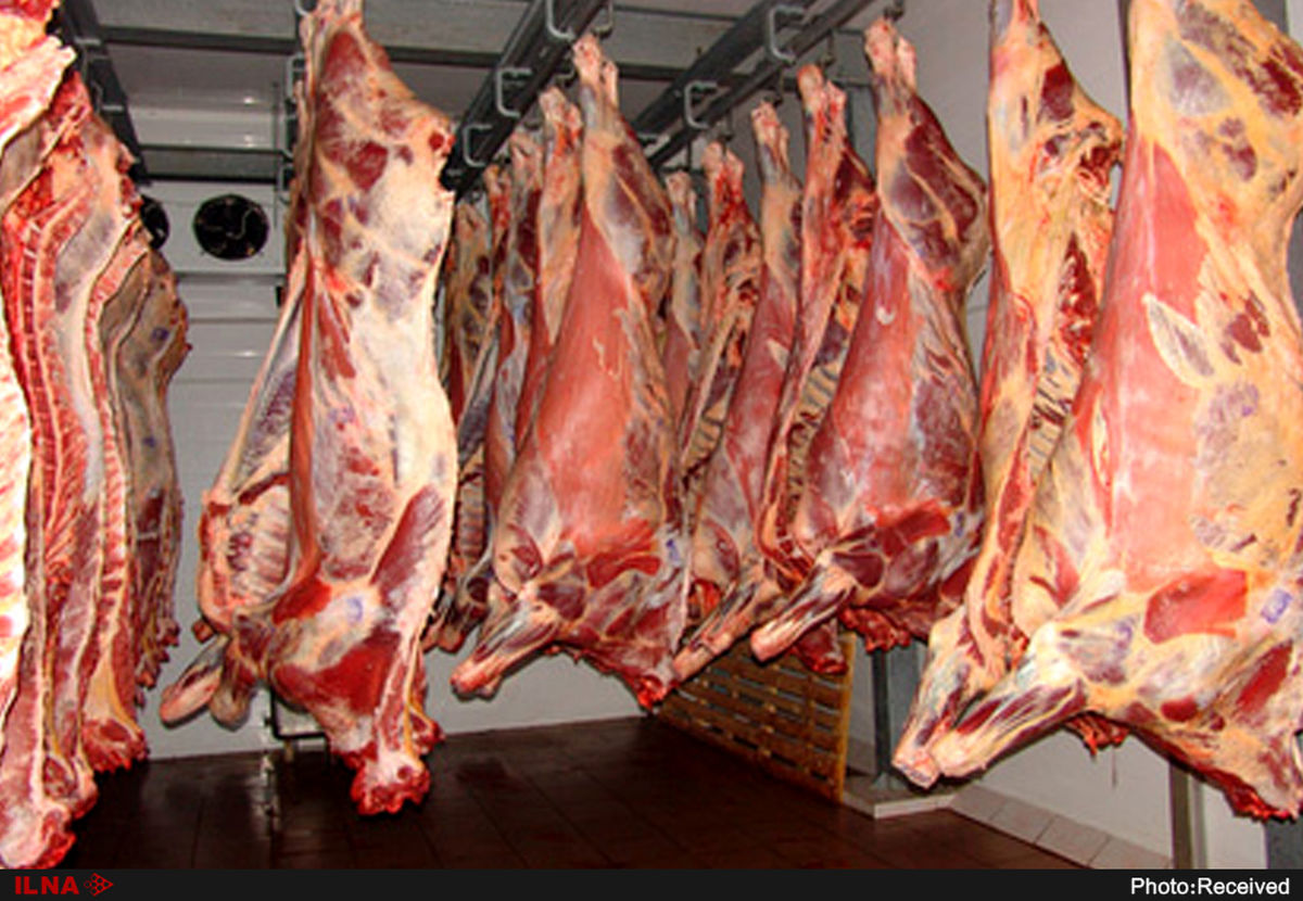 جزئیات واردات 70 تن گوشت فاسد از مغولستان