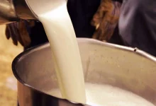 افزایش قیمت شیر خام