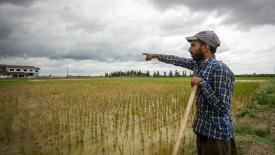 خشکسالی+آب+کشاورزی