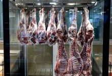 تحویل گوشت گوسفندی با نصف قیمت درب منزل تهرانی‌ها