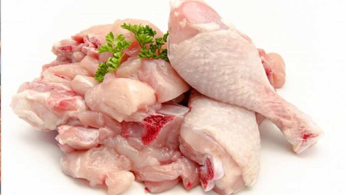 گوشت مرغ