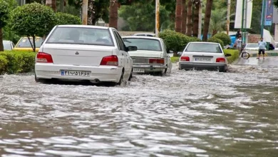 هواشناسی ۲۴ تیر؛ هشدار زرد آغاز بارش‌ها و سیلاب در این ۱۰ استان ---کارشناس هواشناسی