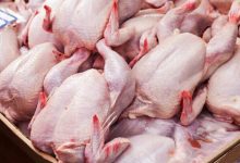 قیمت گوشت مرغ امروز (۱۳مرداد) در بازار روز چقدر شد؟+جدول