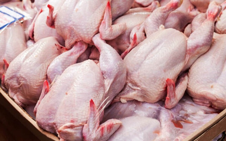 قیمت گوشت مرغ امروز (۱۳مرداد) در بازار روز چقدر شد؟+جدول
