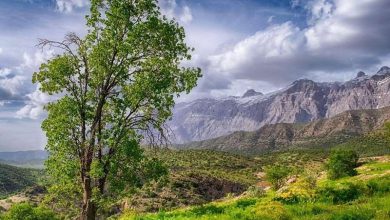 پارک ملی دنا