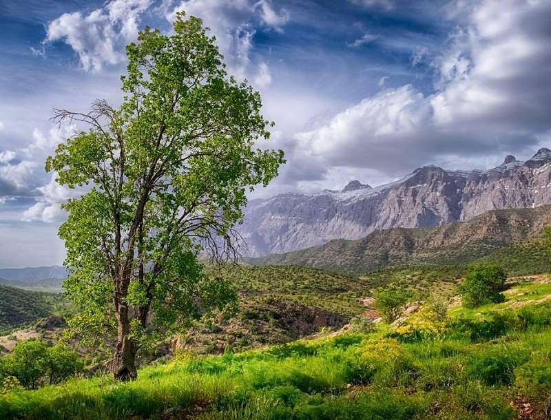 پارک ملی دنا