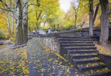 افزایش نسبی دمای نیمه شمالی کشور تا یکشنبه