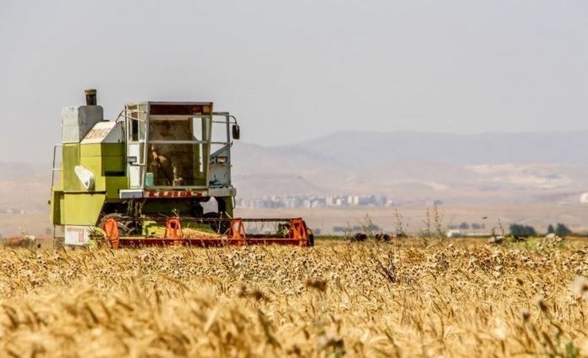 پرداخت مطالبات گندمکاران