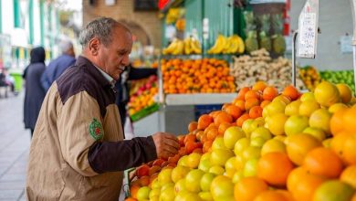 قیمت عمده میوه در میادین تره‌بار تهران کیلویی چند؟+ جدول