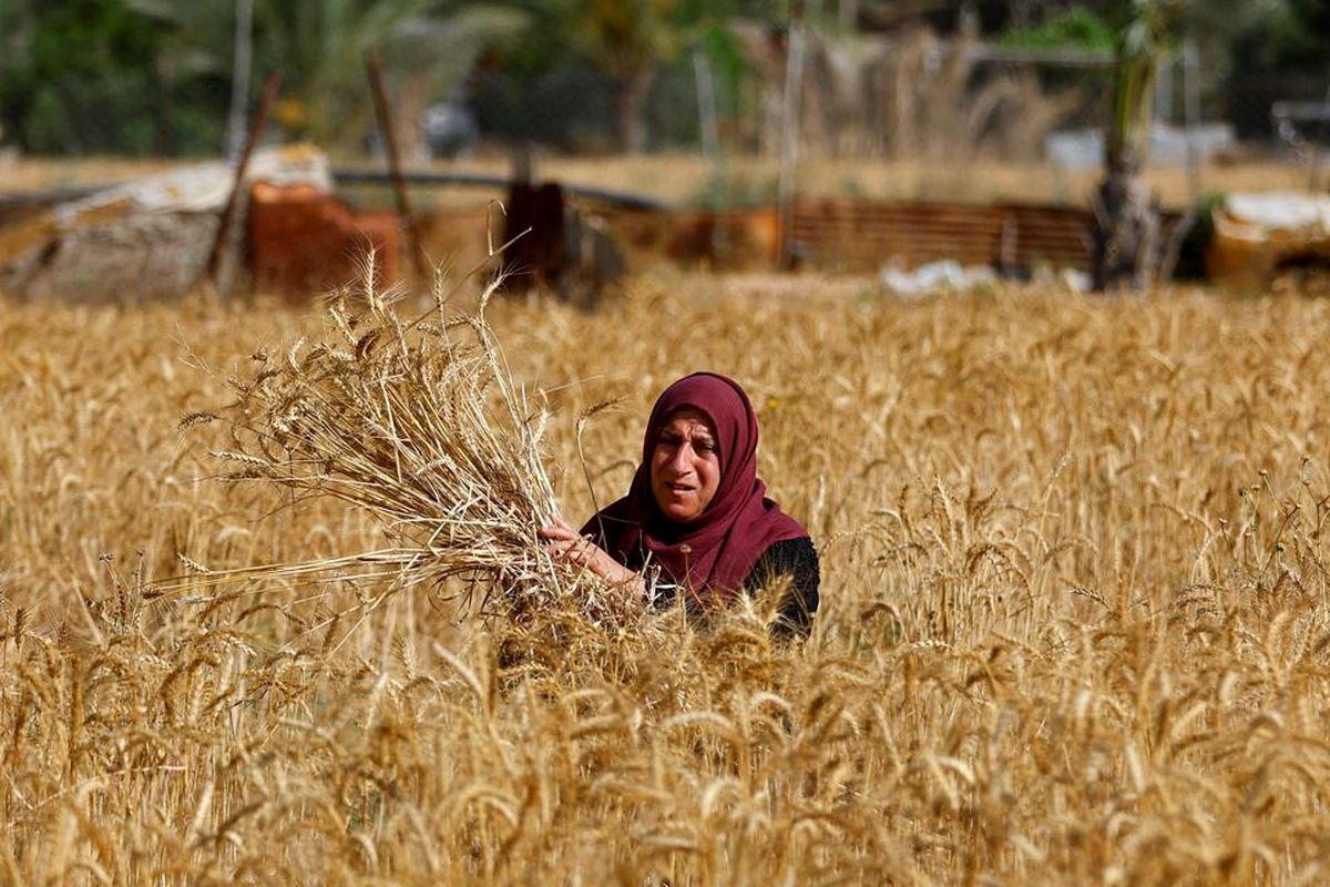 مطالبات کشاورزان