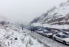 بارش برف و مه سنگین در جاده چالوس و هراز+وضعیت ترافیکی