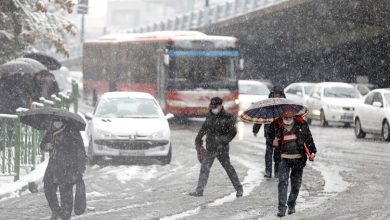 هواشناسی ۲۰ آبان؛ این ۲۴ استان از فردا منتظر برف و باران باشند