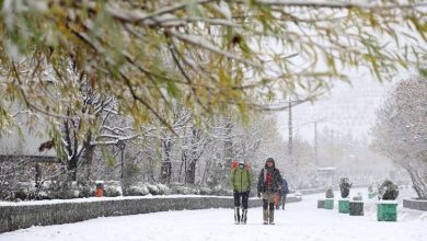 هواشناسی ۲۴ آذر؛ افزایش آلودگی هوا و یخبندان در تهران و این استان‌ها