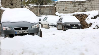 هواشناسی ۱۷ دی؛ بارش برف و کاهش دمای هوا در راه این ۲۳ استان