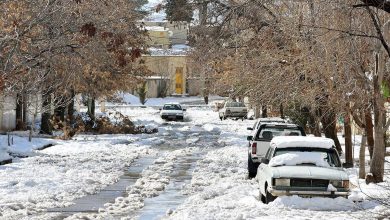 بارش برف کاهش دما تهران