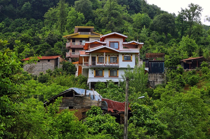 صنعت چای ایران